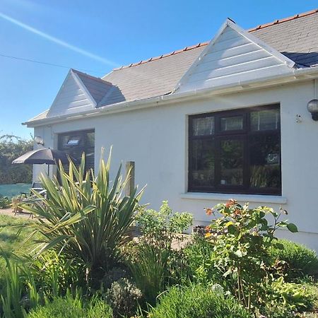 Y Cuddfan Gower Bed & Breakfast Swansea Exterior foto