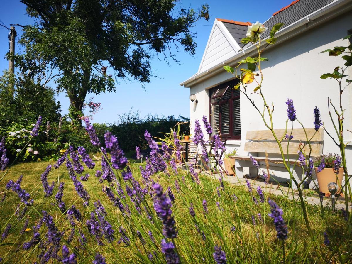 Y Cuddfan Gower Bed & Breakfast Swansea Exterior foto