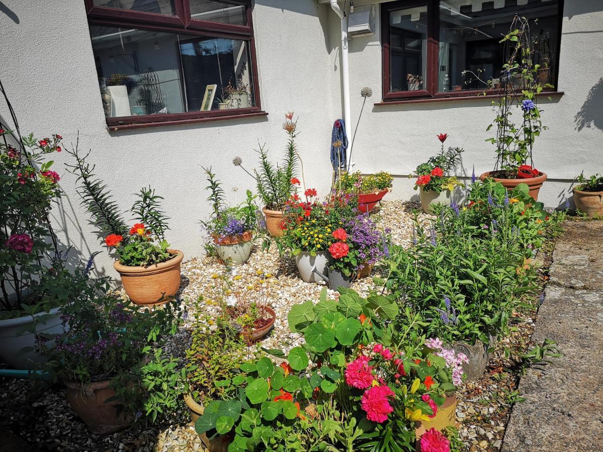 Y Cuddfan Gower Bed & Breakfast Swansea Exterior foto