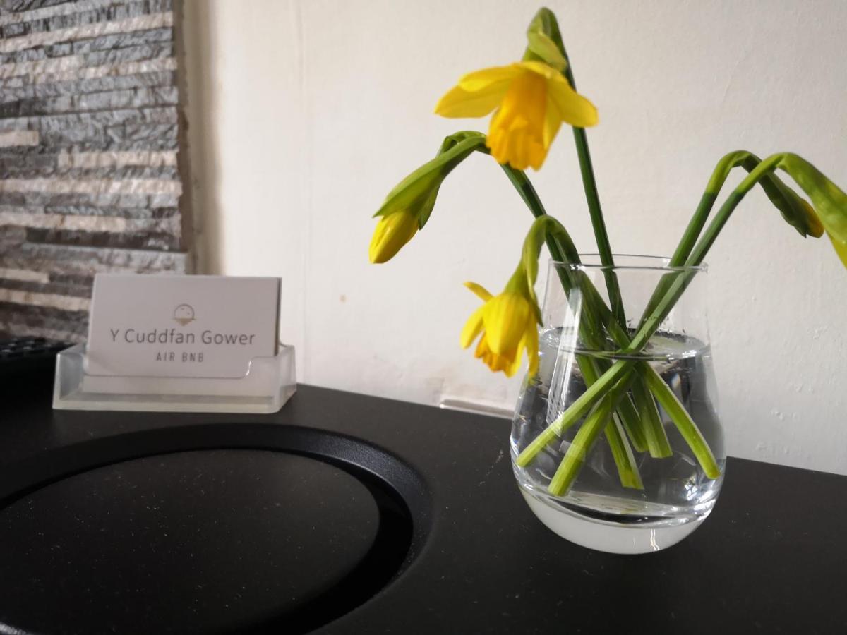 Y Cuddfan Gower Bed & Breakfast Swansea Exterior foto